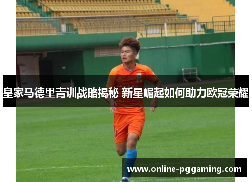 皇家马德里青训战略揭秘 新星崛起如何助力欧冠荣耀