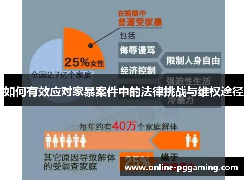 如何有效应对家暴案件中的法律挑战与维权途径