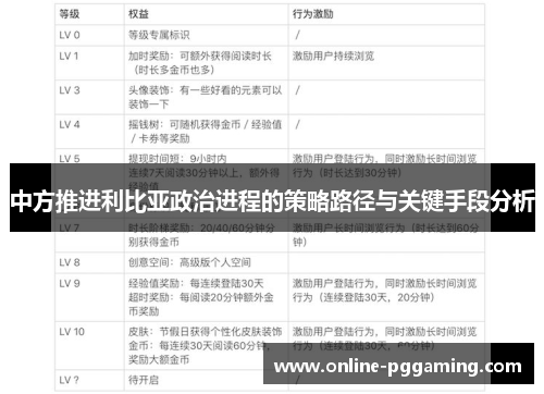 中方推进利比亚政治进程的策略路径与关键手段分析 中方推进利比亚政治进程的策略路径与关键手段分析