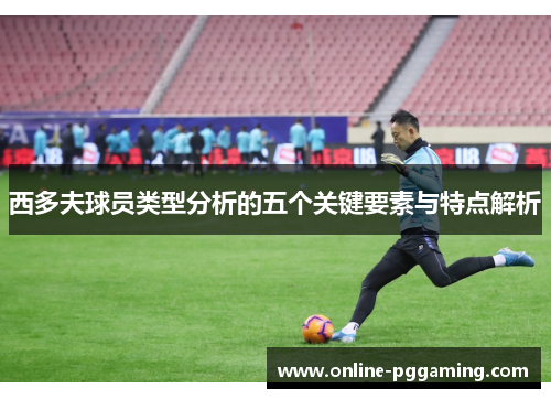 西多夫球员类型分析的五个关键要素与特点解析 西多夫球员类型分析的五个关键要素与特点解析