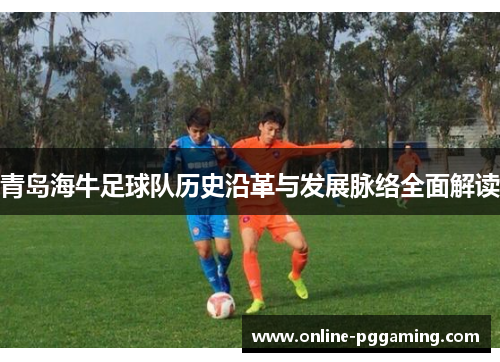 青岛海牛足球队历史沿革与发展脉络全面解读
