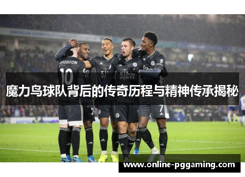魔力鸟球队背后的传奇历程与精神传承揭秘 魔力鸟球队背后的传奇历程与精神传承揭秘